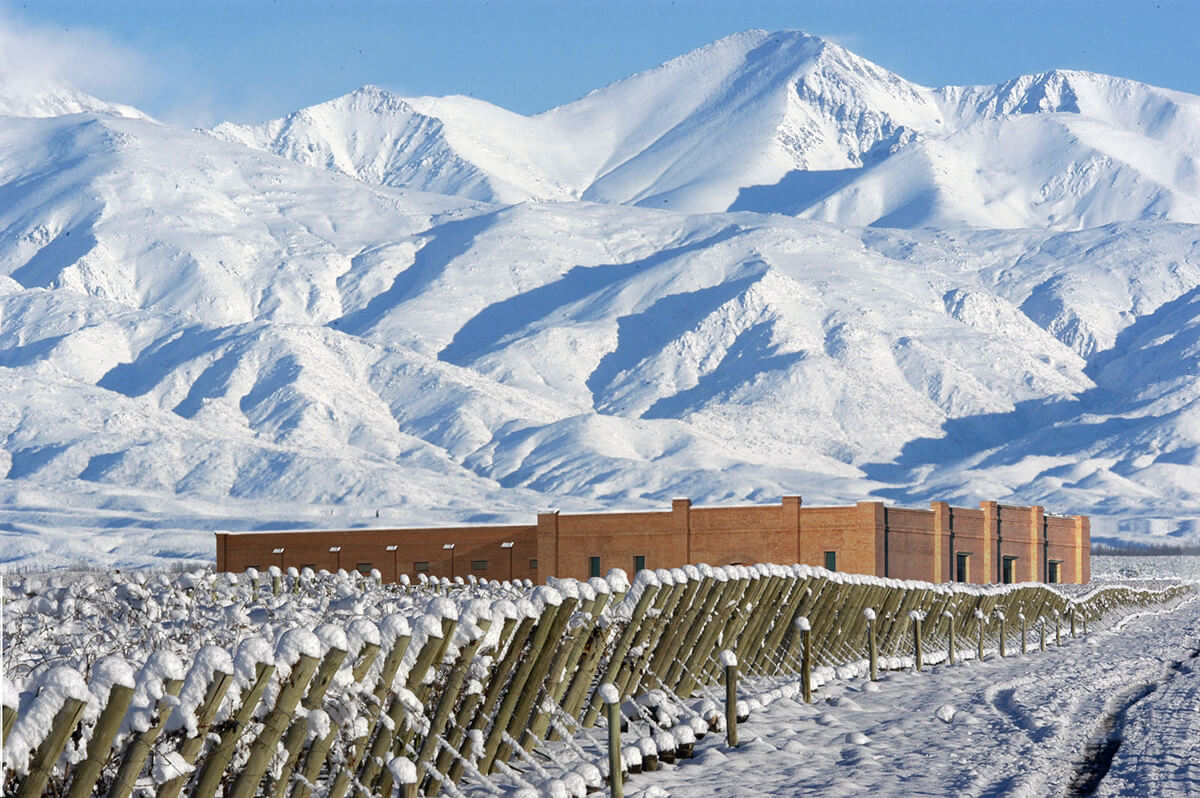Bodega em Mendoza com a cordilheira nevada ao fundo